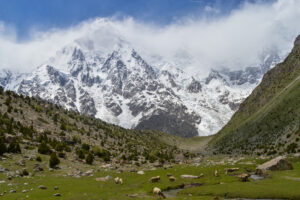 Herrligkoffer_base_camp